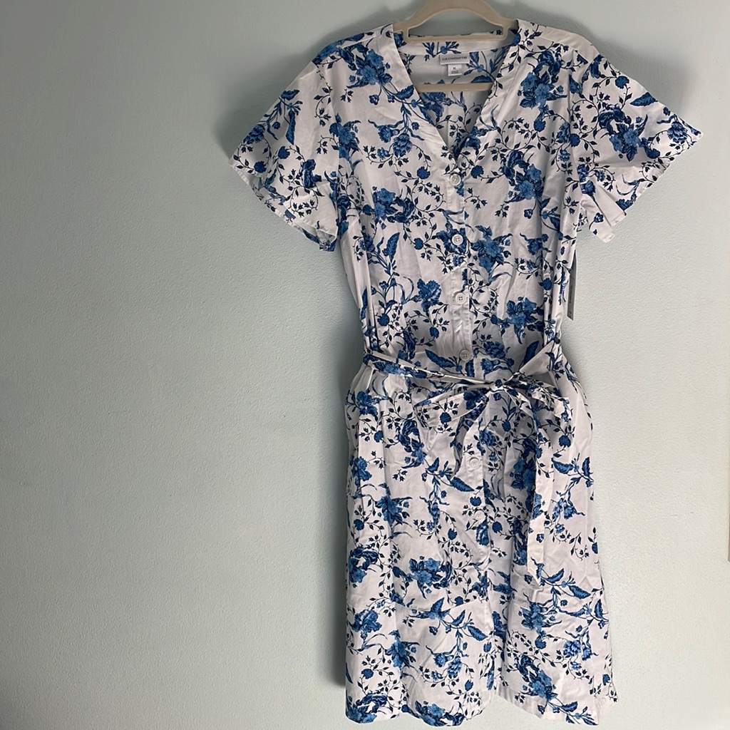 Nwt White And Blue Dress